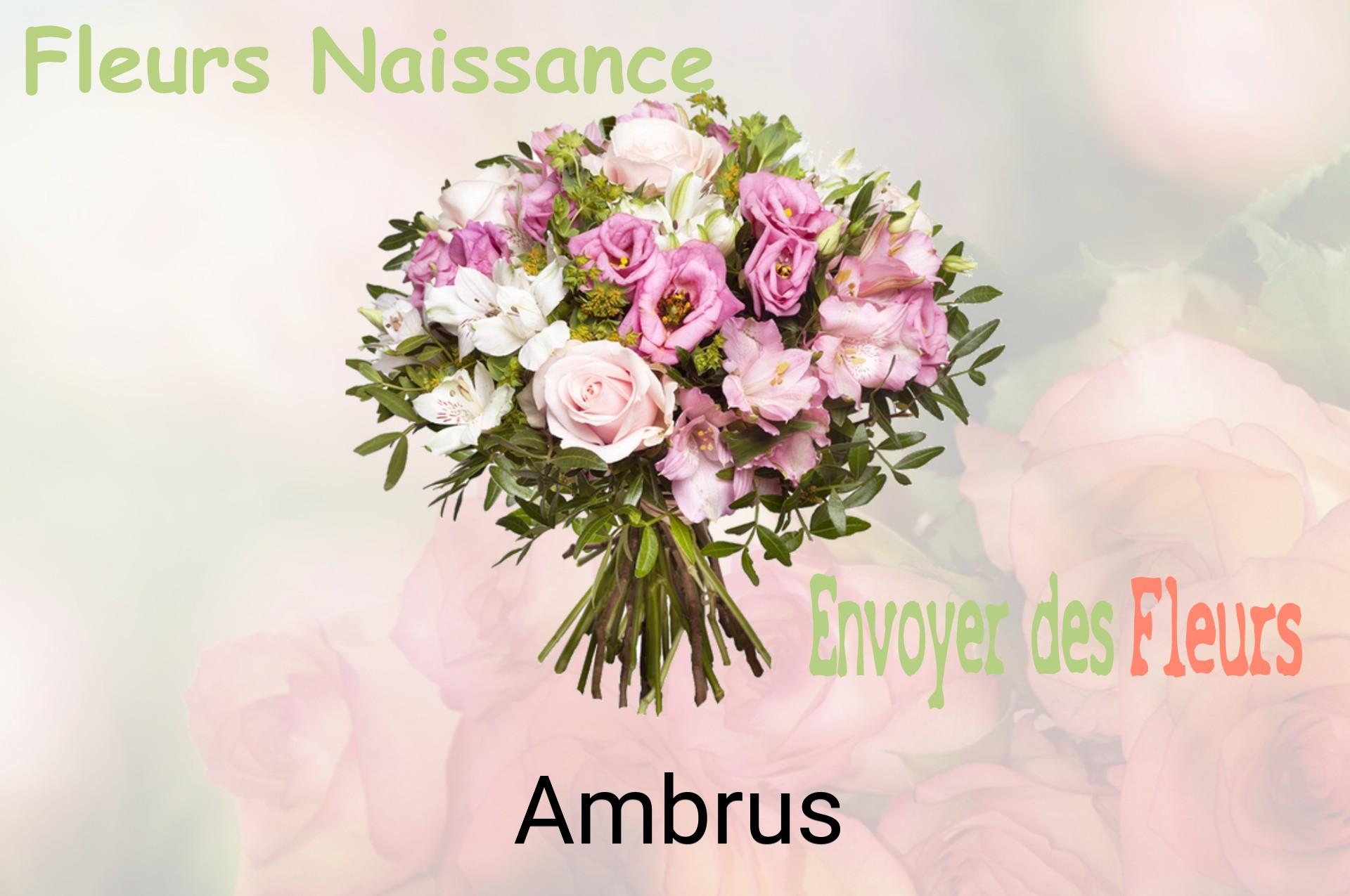 Bouquet de fleurs de naissance livré à Ambrus
